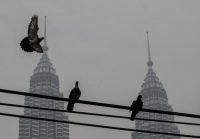 The Petronas Towers in Kuala Lumpur. Credit Fazry Ismail/European Pressphoto Agency