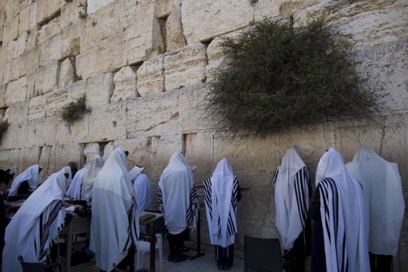 Judíos ultra ortodoxos cubiertos con el manto de la oración ante El Muro de las Lamentaciones de Jerusalén. ABIR SULTAN/ EFE