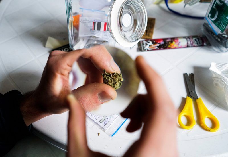 La venta legal de marihuana se iniciará el 19 de julio en un número limitado de farmacias y para cinco mil consumidores registrados, según el Instituto de Regulación y Control del Cannabis. Credit Matilde Campodonico/Associated Press