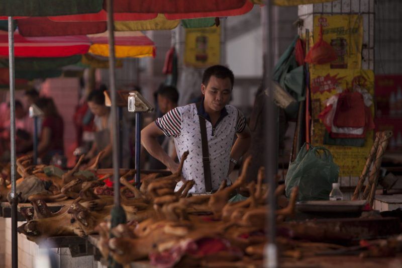 Para celebrar el solsticio de verano, miles de perros son sacrificados y servidos en el controvertido Festival de Carne de Perro en Yulin, China. Credit Agence France-Presse — Getty Images