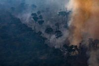 Un incendio se extiende por una zona del bosque tropical en Porto Velho, en Brasil, el 25 de agosto de 2019. Credit Victor Moriyama/Getty Images