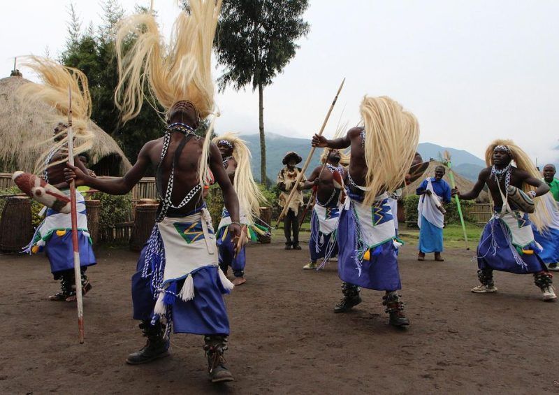 D'anciens braconniers effectuent une danse traditionnelle, qui fait partie des célébrations de l'Umuganura, à Kinigi, dans le Nord du Rwanda, en 2014. Photo Stéphanie Aglietti. AFP