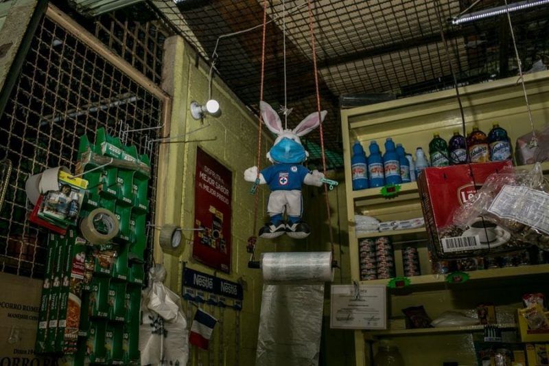 A stuffed rabbit wearing a Cruz Azul soccer jersey wears a face mask