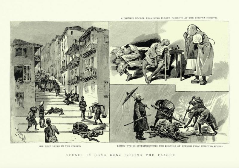 Dans les rues de Hong Kong en 1894, les morts de la peste bubonique gisent au sol. Illustrations Getty Images