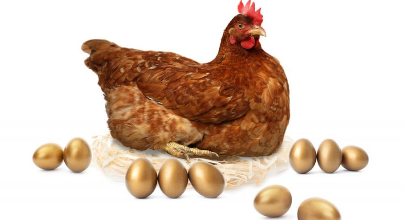 La poule qui pondait des œufs à ARN messager