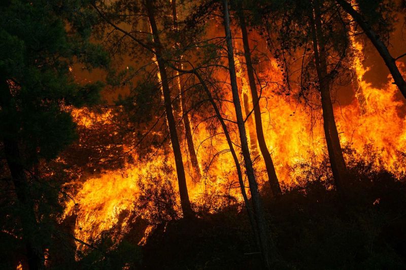 Flames soars through the forest on Monday in Mugla, Marmaris district, in Turkey. (Yasin Akgul/AFP/Getty Images)