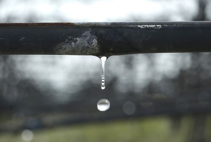 Water falls from a drip irrigation system in a vineyard near Firebaugh, Calif., in 2016. (Rich Pedroncelli/AP)