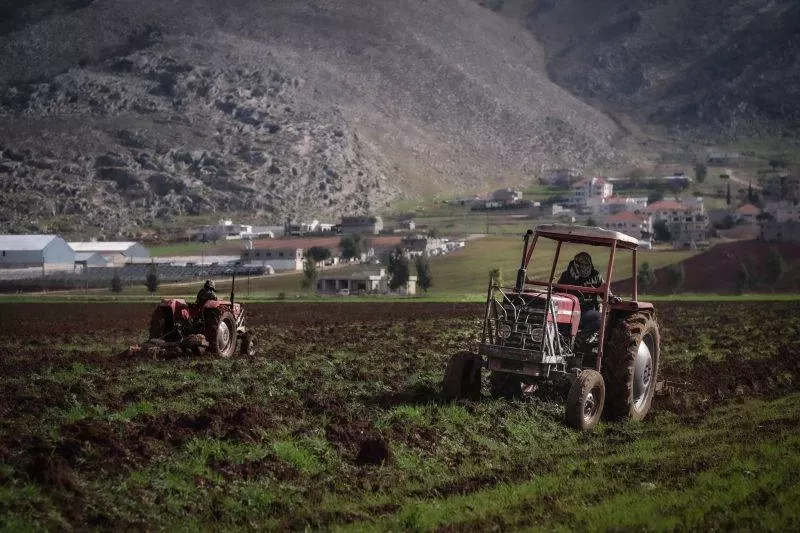 Des agriculteurs dans la vallée de la Békaa au Liban. Photo João SOUSA